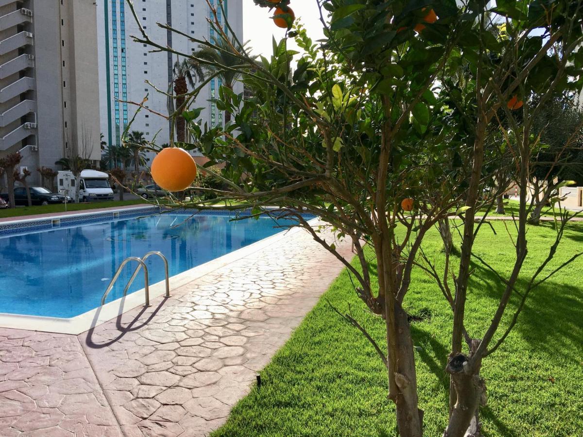 Beach Studio Apartment Hannibal La Cala Finestrat Бенидорм Екстериор снимка