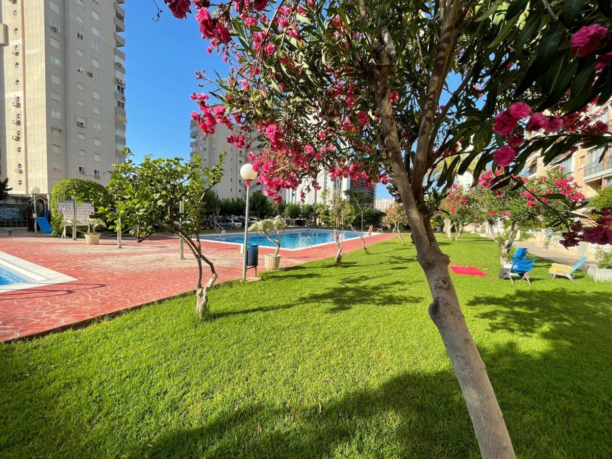 Beach Studio Apartment Hannibal La Cala Finestrat Бенидорм Екстериор снимка