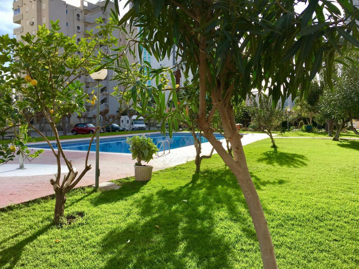 Beach Studio Apartment Hannibal La Cala Finestrat Бенидорм Екстериор снимка